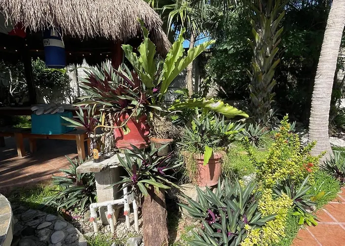 Casamaya & Diving Cozumel