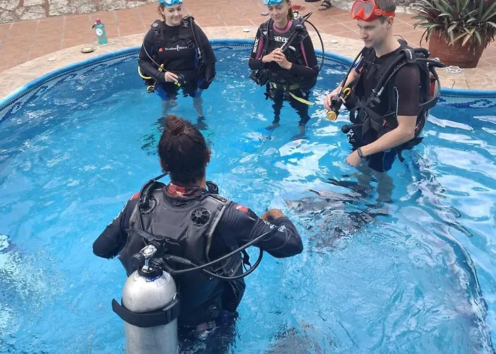 Casamaya & Diving Homestay