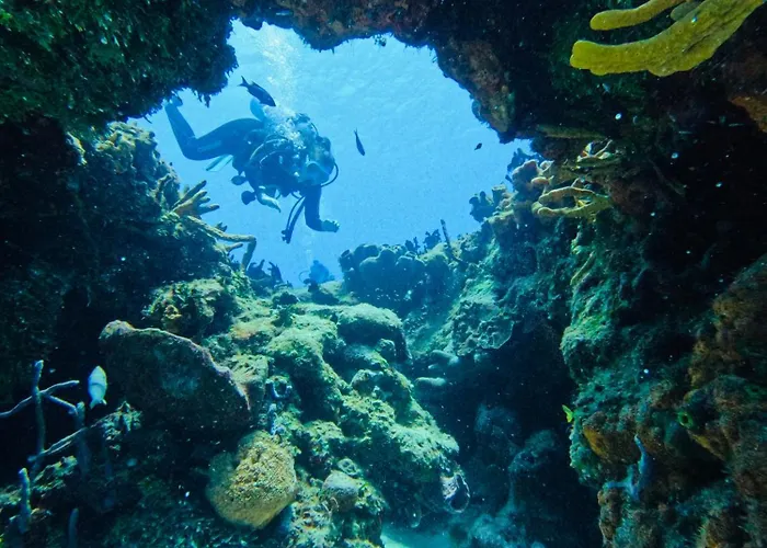 Casamaya & Diving Cozumel