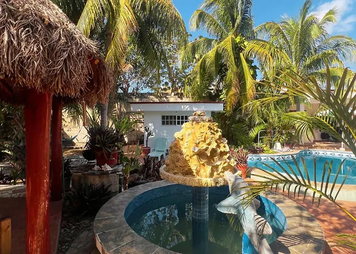 Casamaya & Diving Homestay Cozumel
