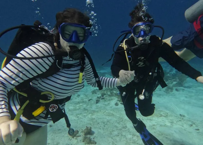 Casamaya & Diving Homestay Cozumel